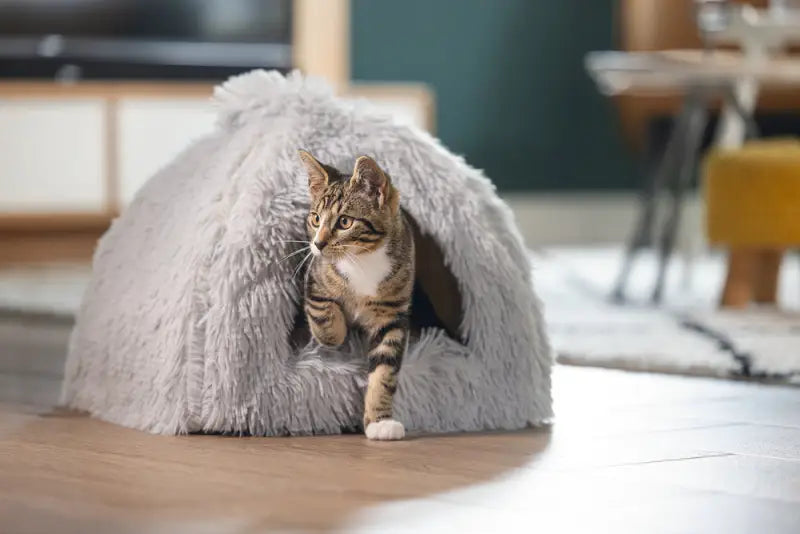 Beeztees Kitten Cave Cosmo — Grijs - BEDDEN/MANDEN/KUSSENS