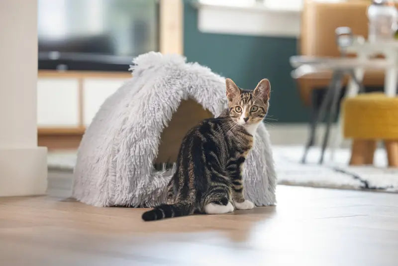 Beeztees Kitten Cave Cosmo — Grijs - BEDDEN/MANDEN/KUSSENS