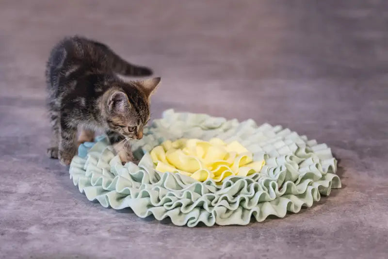 Beeztees Kitten Snuffelmat Flowie 38 cm