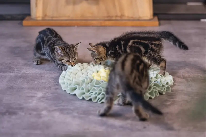 Beeztees Kitten Snuffelmat Flowie 38 cm