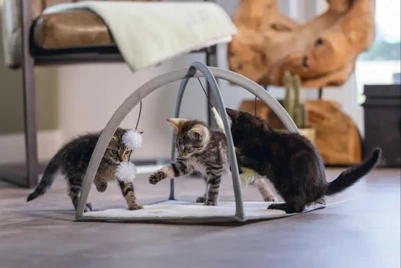 Beeztees Kitten Speelkleed Xabia grijs 40x40x33 cm