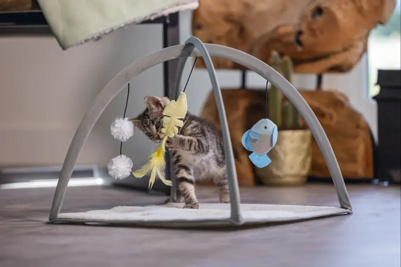 Beeztees Kitten Speelkleed Xabia grijs 40x40x33 cm