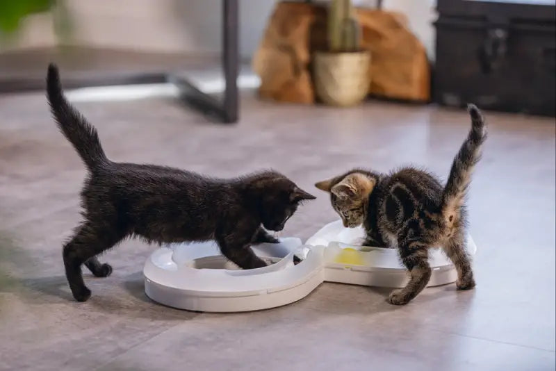 Beeztees Kitten Speelrail Agty