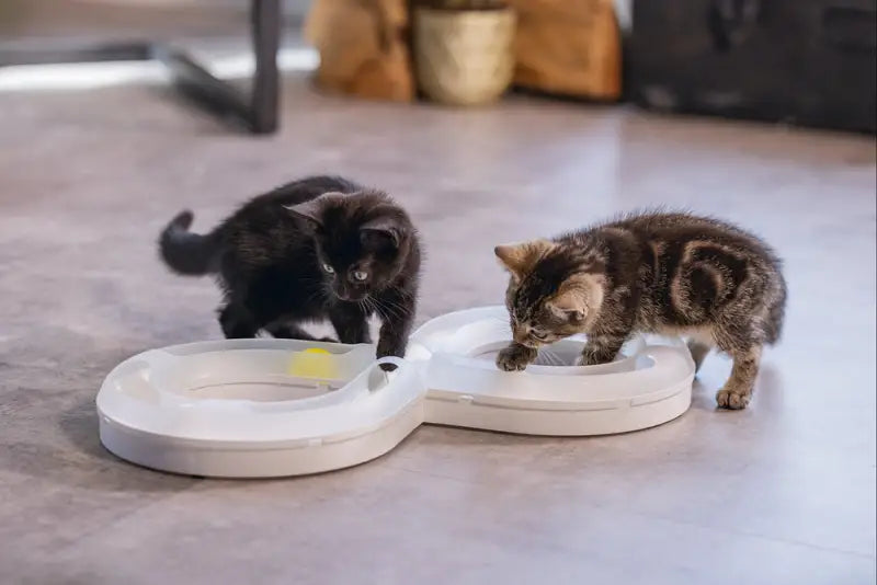 Beeztees Kitten Speelrail Agty