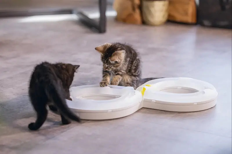 Beeztees Kitten Speelrail Agty