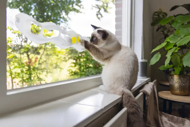 Beeztees Kitten Speelrail Windo