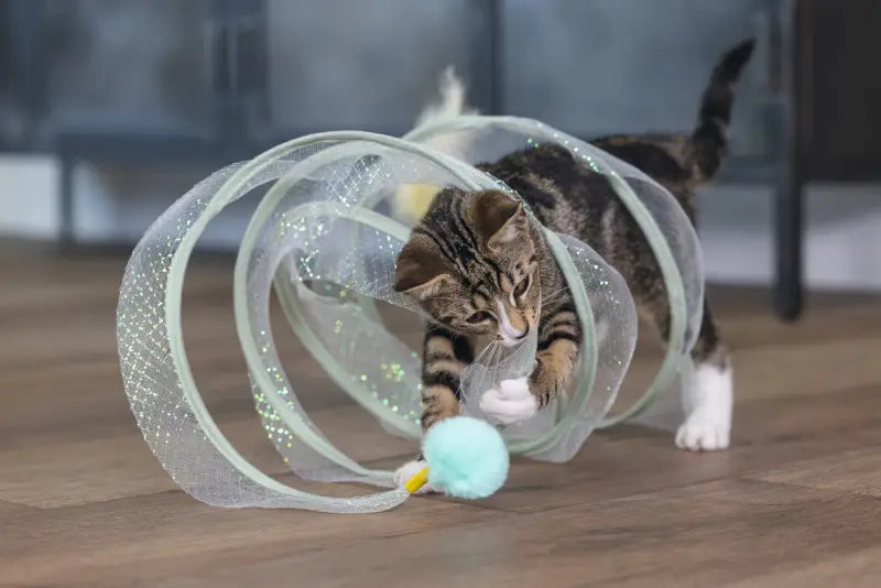 Beeztees Kitten Speelspiraal Gabi