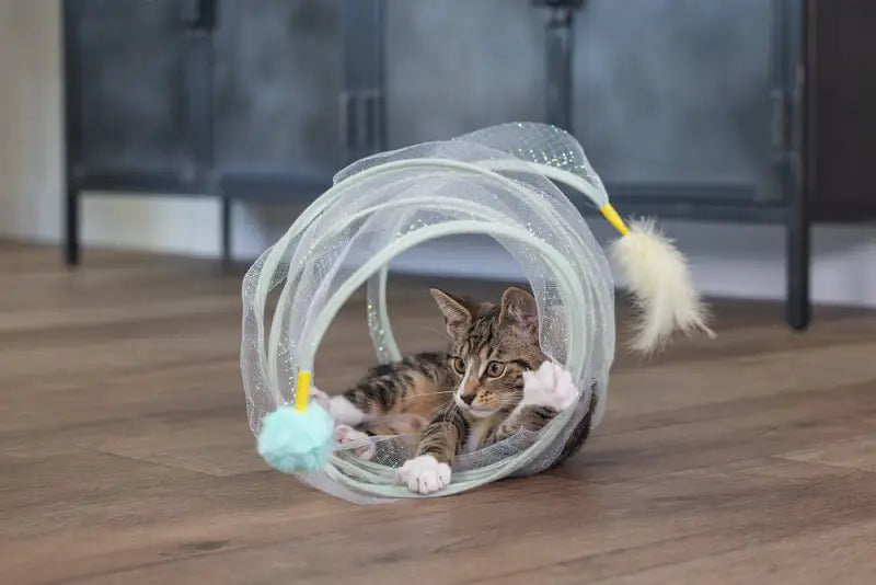 Beeztees Kitten Speelspiraal Gabi