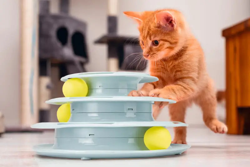 Beeztees Kitten Speeltoren Bo