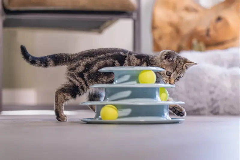 Beeztees Kitten Speeltoren Bo