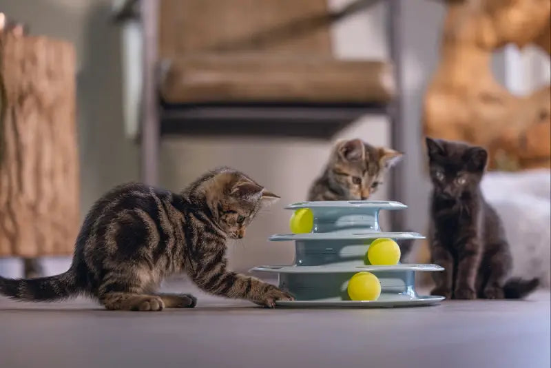 Beeztees Kitten Speeltoren Bo