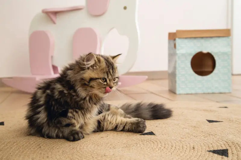 Beeztees Kitten Speelzak Raisa