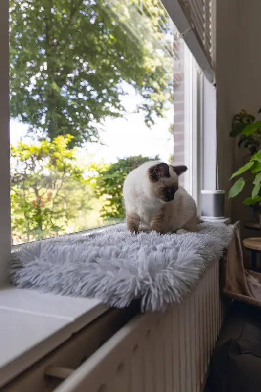 Beeztees Kitten Vensterbank Kussen Blizz — Grijs - BEDDEN/MANDEN/KUSSENS