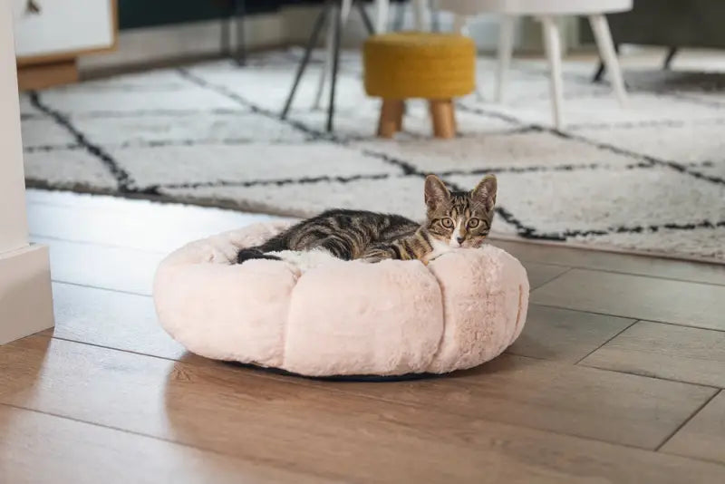 Beeztees Kittenmand Maui — Roze - BEDDEN/MANDEN/KUSSENS