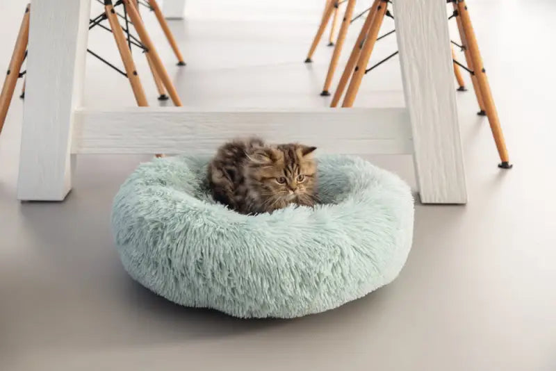 Beeztees Kittenmand Vako 50 cm — Blauw - BEDDEN/MANDEN/KUSSENS