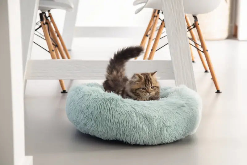 Beeztees Kittenmand Vako 50 cm — Blauw - BEDDEN/MANDEN/KUSSENS