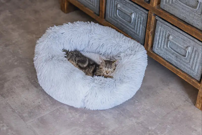 Beeztees Kittenmand Vako 50 cm — Grijs - BEDDEN/MANDEN/KUSSENS