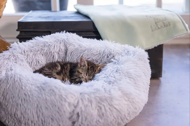 Beeztees Kittenmand Vako 50 cm — Grijs - BEDDEN/MANDEN/KUSSENS