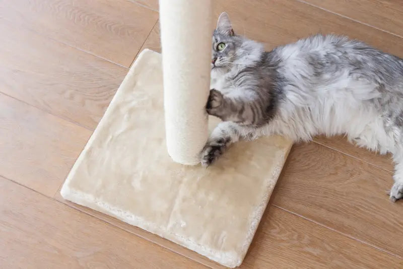 Beeztees Krabpaal Gina XL 40x40x90 cm — Beige - Krabpaal