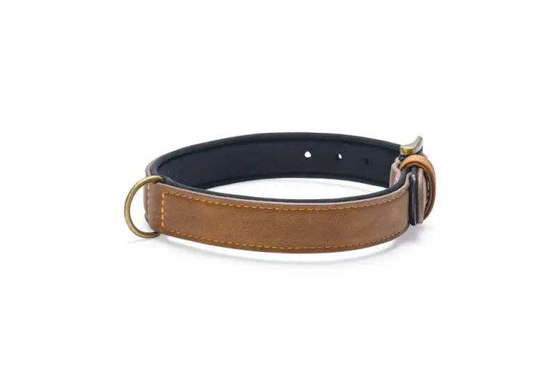 Beeztees Kunstleer Hondenhalsband Balacron Ax bruin 38-48x25 mm