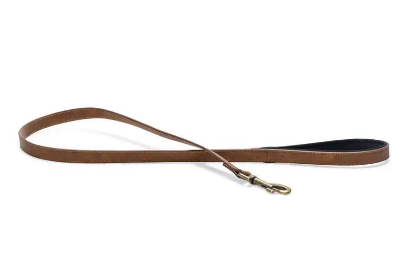 Beeztees Kunstleer Hondenriem Balacron Ax bruin 100x20 mm — 100 cm x 20 mm