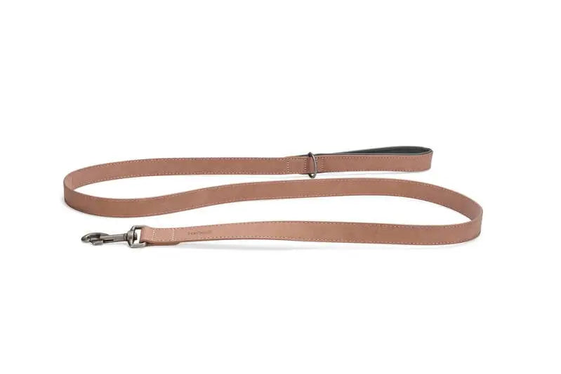 Beeztees Kunstleer Hondenriem Balacron Ax roze 180x25 mm — 180 cm x 25 mm