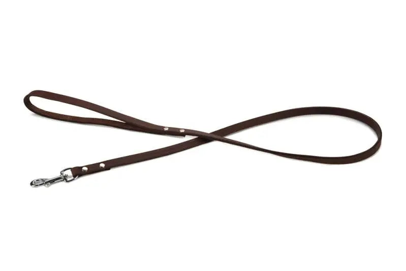 Beeztees Leren Hondenriem Geniet bruin 100x10 mm — 100 cm x 10 mm