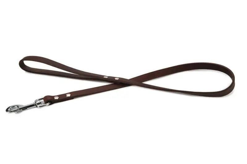 Beeztees Leren Hondenriem Geniet bruin 100x16 mm — 100 cm x 16 mm