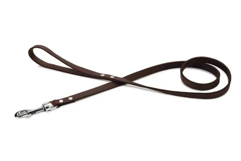 Beeztees Leren Hondenriem Geniet bruin 130x16 mm — 130 cm x 16 mm