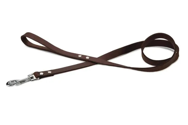 Beeztees Leren Hondenriem Geniet bruin 130x20 mm — 130 cm x 20 mm