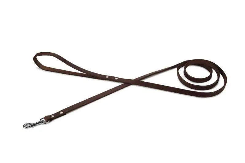 Beeztees Leren Hondenriem Geniet bruin 165x12 mm — 165 cm x 12 mm