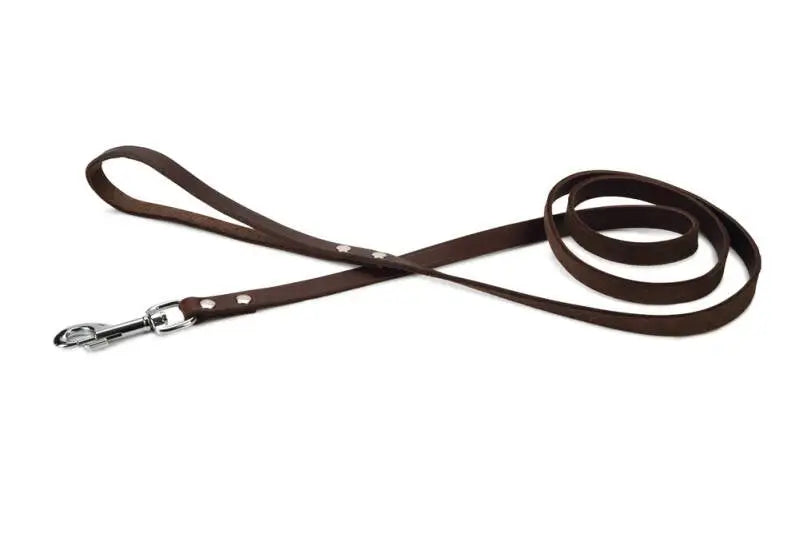 Beeztees Leren Hondenriem Geniet bruin 165x16 mm — 165 cm x 16 mm