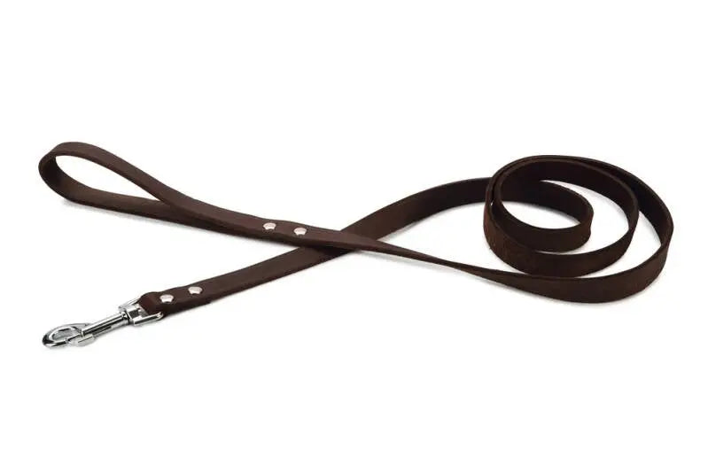 Beeztees Leren Hondenriem Geniet bruin 165x20 mm — 165 cm x 20 mm