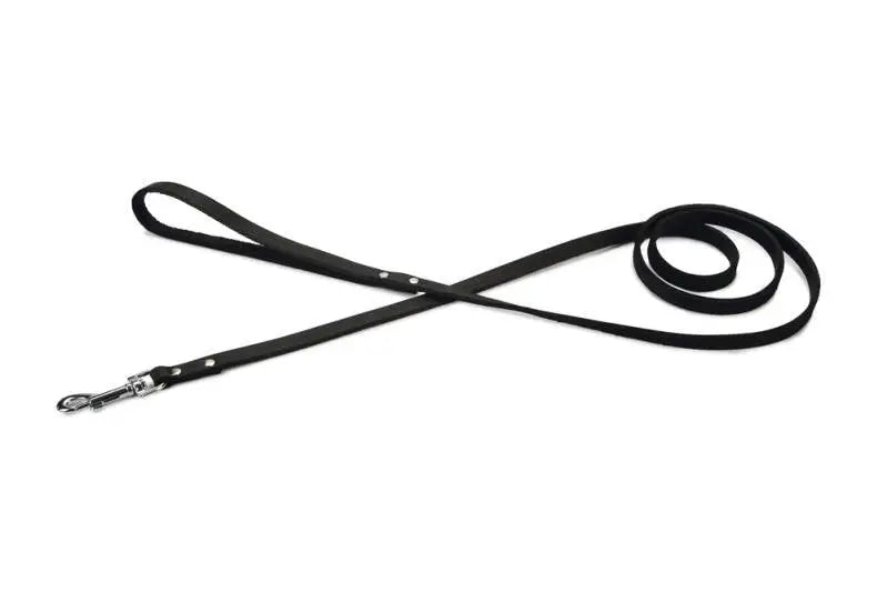 Beeztees Leren Hondenriem Geniet zwart 165x12 mm — 165 cm x 12 mm