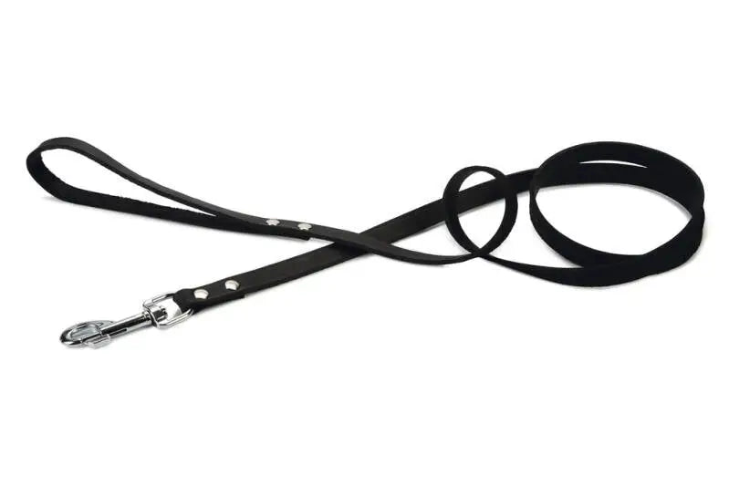 Beeztees Leren Hondenriem Geniet zwart 165x16 mm — 165 cm x 16 mm