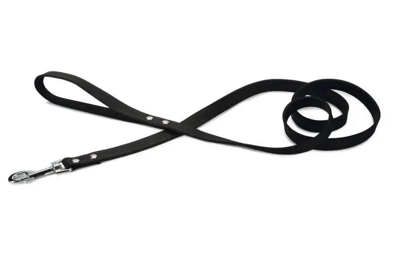 Beeztees Leren Hondenriem Geniet zwart 165x20 mm — 165 cm x 20 mm