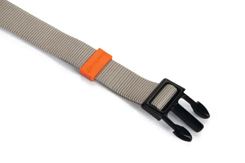 Beeztees nylon Hondenhalsband Uni — Lichtgrijs - HALSBANDEN/LIJNEN NYLON