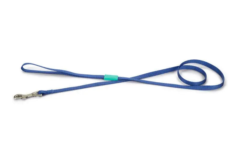 Beeztees nylon Hondenriem Uni blauw 120x10 — 120 cm x 10 mm