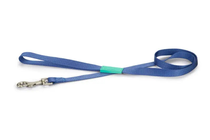 Beeztees nylon Hondenriem Uni blauw 120x20 — 120 cm x 20 mm