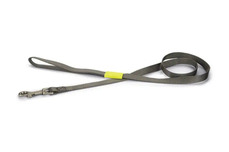 Beeztees nylon Hondenriem Uni donkergrijs 120x15 — 120 cm x 15 mm