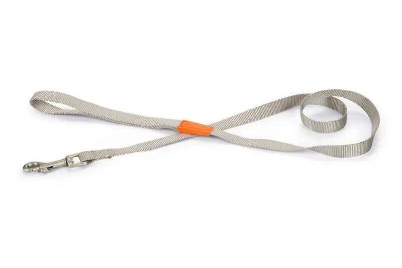 Beeztees nylon Hondenriem Uni — Lichtgrijs - 120 cm x 15 mm - HALSBANDEN/LIJNEN NYLON