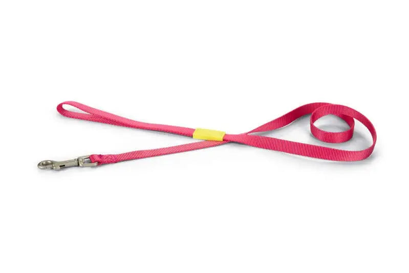 Beeztees nylon Hondenriem Uni roze 120x15 — 120 cm x 15 mm