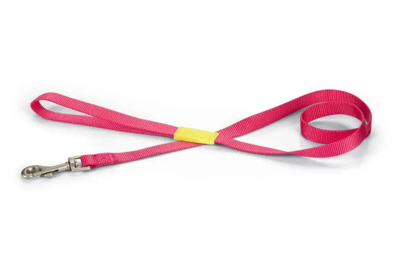 Beeztees nylon Hondenriem Uni roze 120x20 — 120 cm x 20 mm
