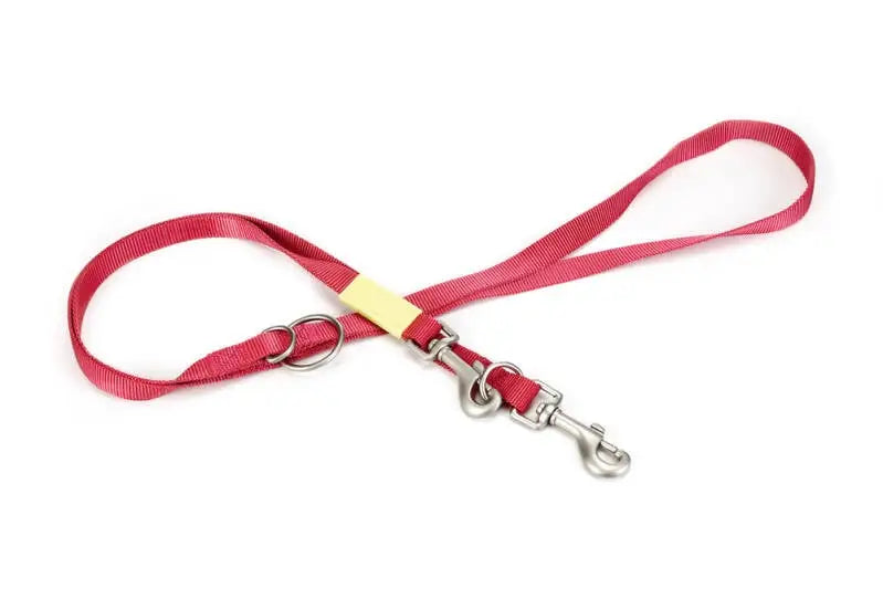 Beeztees nylon Hondenriem Uni roze 200x20 — 200 cm x 20 mm