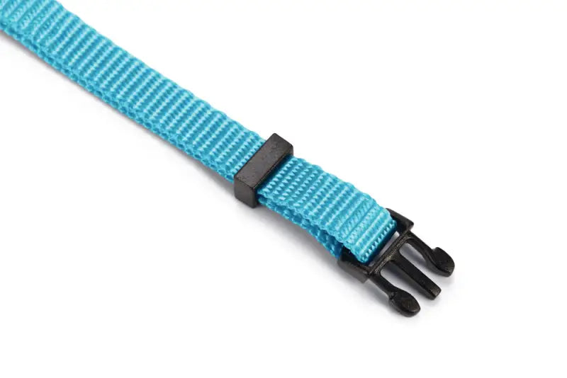 Beeztees nylon Kattenhalsbandje Uni — Lichtblauw - HALSBANDEN/LIJNEN NYLON