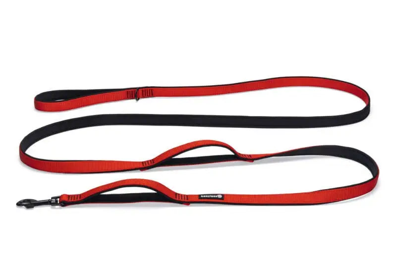 Beeztees Nylon Premium Hondenriem Parinca rood 300x20 — 300 cm x 20 mm