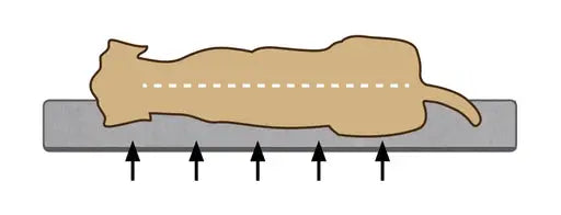 Beeztees Orthopedische Hondenmand Jaxx 50 cm — Beige