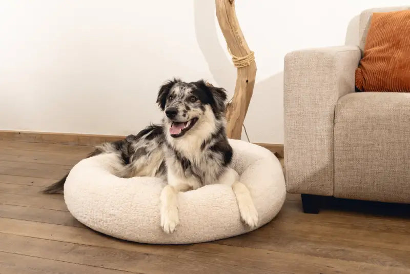 Beeztees Orthopedische Hondenmand Jaxx 50 cm — Beige