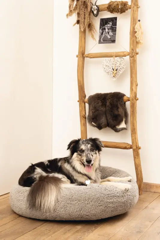 Beeztees Orthopedische Hondenmand Jaxx 50 cm — Grijs