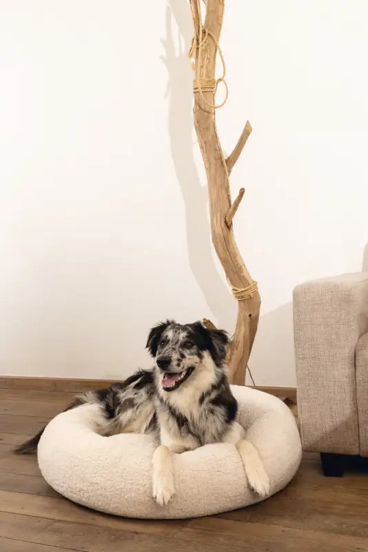 Beeztees Orthopedische Hondenmand Jaxx 60 cm — Beige